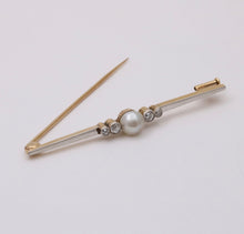 Load image into Gallery viewer, 46584927