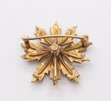 Load image into Gallery viewer, Edwardian 14K Yellow Gold Sapphire Seed Pearls Brooch Pin Pendant