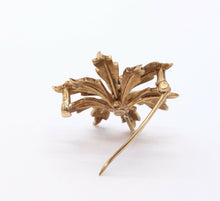 Load image into Gallery viewer, Edwardian 14K Yellow Gold Sapphire Seed Pearls Brooch Pin Pendant