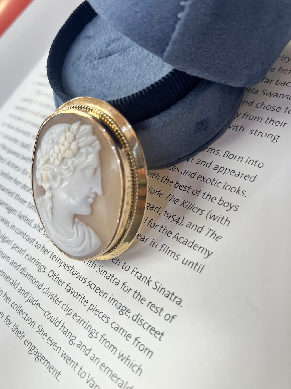 Vintage 14K Yellow Gold Woman’s Portrait Cameo Brooch