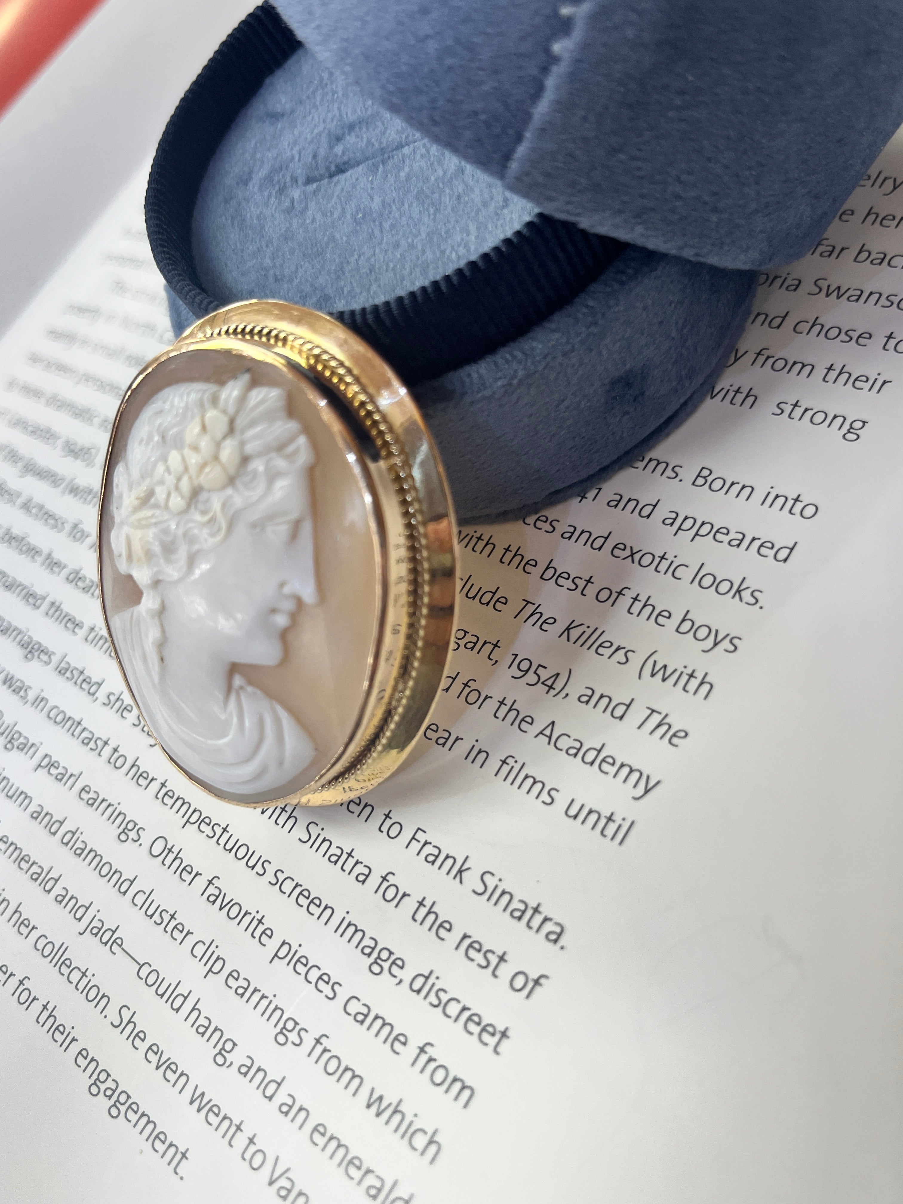 Vintage 14K Yellow Gold Woman’s Portrait Cameo Brooch