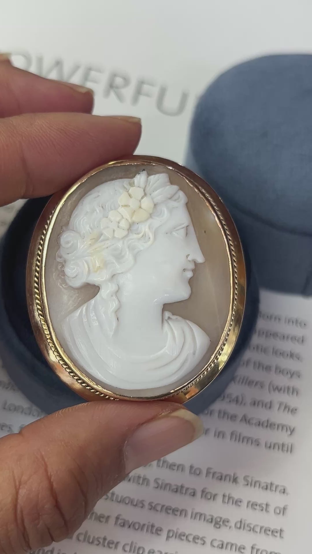 Vintage 14K Yellow Gold Woman’s Portrait Cameo Brooch