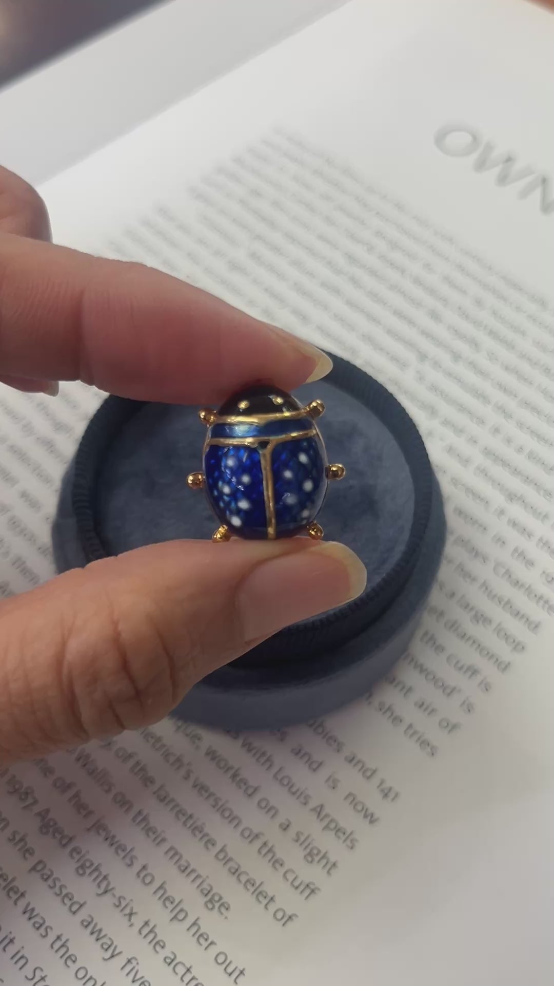 Vintage Blue Enamel Lady Bug 18K Yellow Gold Brooch