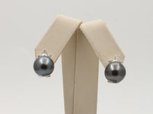 Load image into Gallery viewer, Lovely Tahitian Pearl Diamonds 18K White Yellow Gold Vintage Earrings
