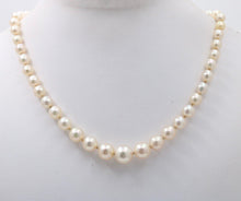 Load image into Gallery viewer, Vintage Classic Pearl 14K White gold Clasp Necklace
