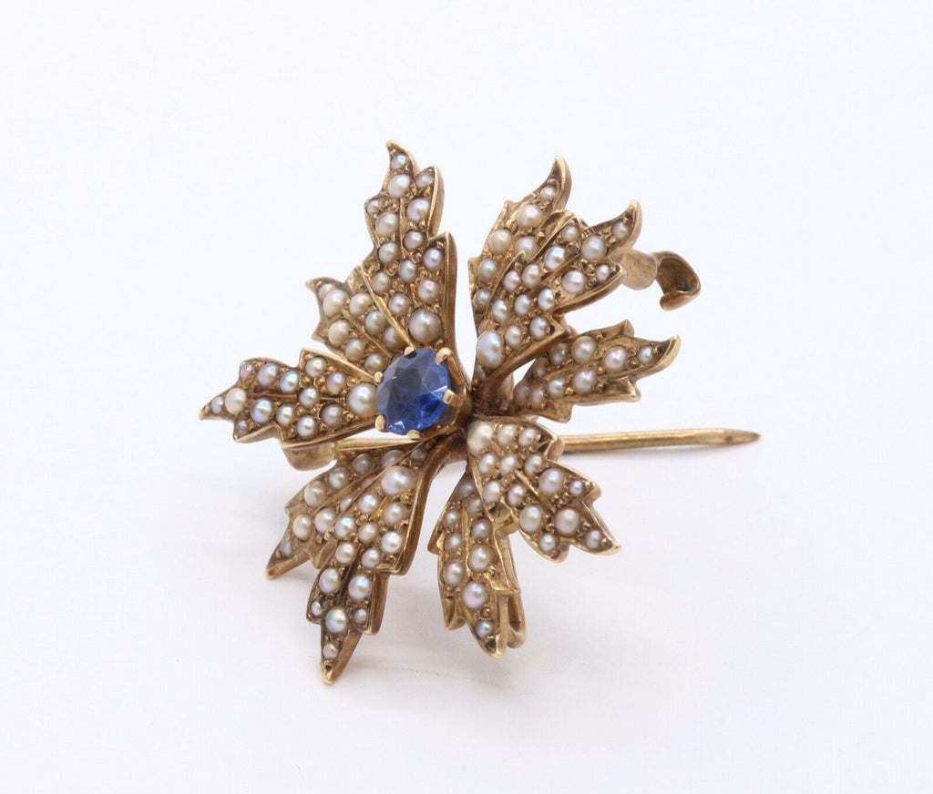 Edwardian 14K Yellow Gold Sapphire Seed Pearls Brooch Pin Pendant