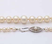 Load image into Gallery viewer, Vintage Classic Pearl 14K White gold Clasp Necklace
