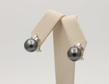 Load image into Gallery viewer, Lovely Tahitian Pearl Diamonds 18K White Yellow Gold Vintage Earrings
