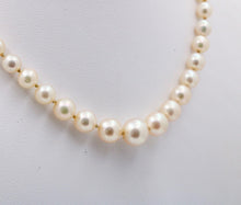 Load image into Gallery viewer, Vintage Classic Pearl 14K White gold Clasp Necklace
