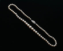 Load image into Gallery viewer, Vintage Classic Pearl 14K White gold Clasp Necklace
