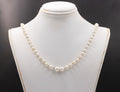 Vintage Akoya Pearls 14K White Gold Catch Necklace